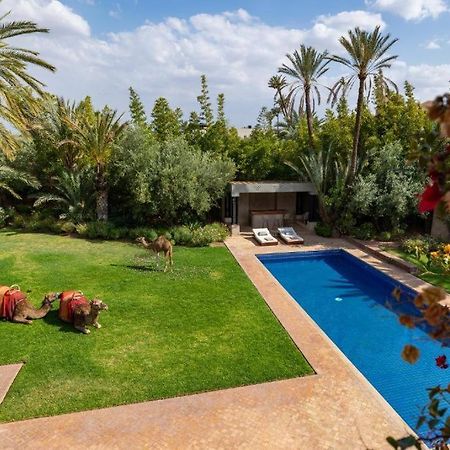 Villa Sahar Palmeraie Avec Piscine Chauffee ! Marraquexe Exterior foto